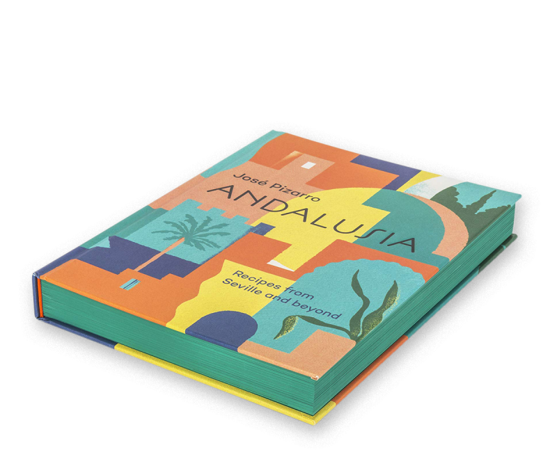 Daniel Dzonu Clarke Andalusia book cover illustration