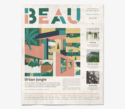 Daniel Dzonu Clarke illustration Beau cover